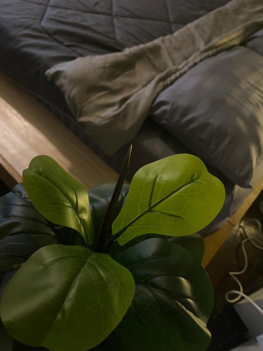 Rhythm Of Life Guesthouse 56 Bangkok Bagian luar foto
